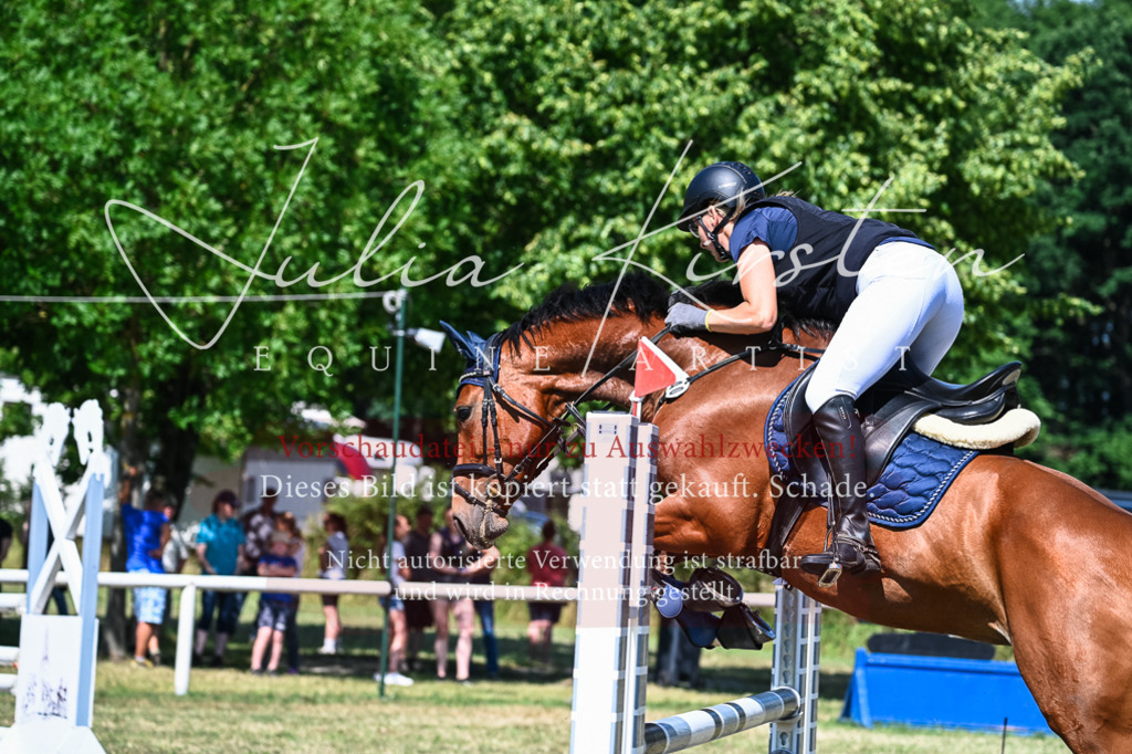 DSC_1444 | Pferde- und Turnierfotografie in Westsachsen. Pferdeportraits, Auftragszeichnungen und intuitive Kunst.