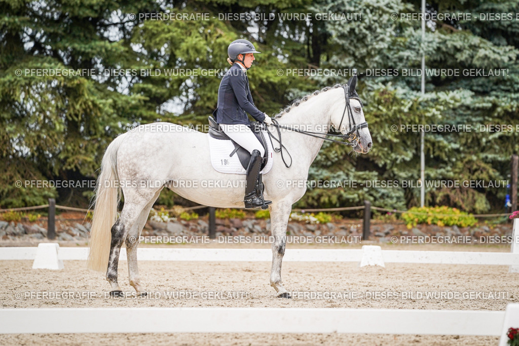 DSC07836 | Pferdegrafie