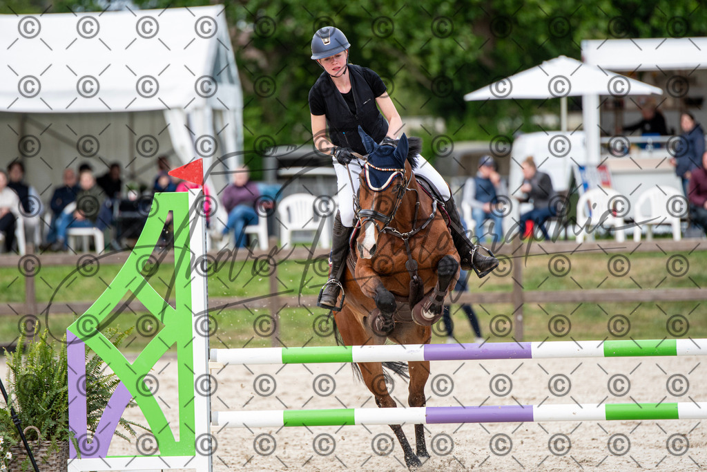 KPT_7235 | andre_photographic