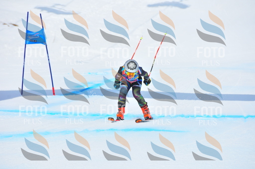 DSC_6232 | holidayphoto