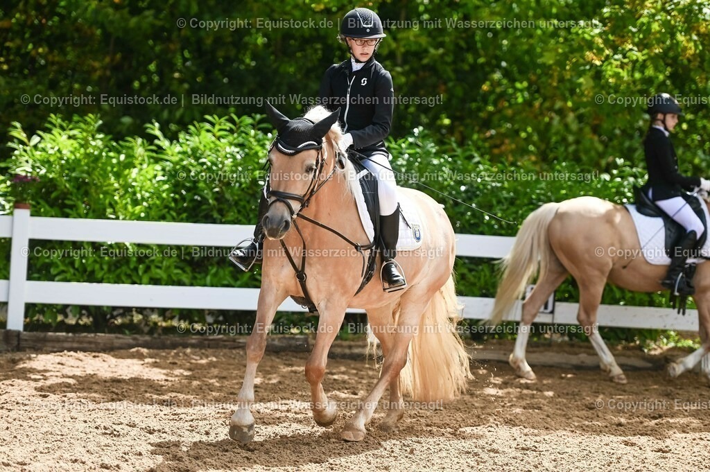 20230716_10-3_Reiter-WB Schritt - Trab - Galopp_0087 | equistock