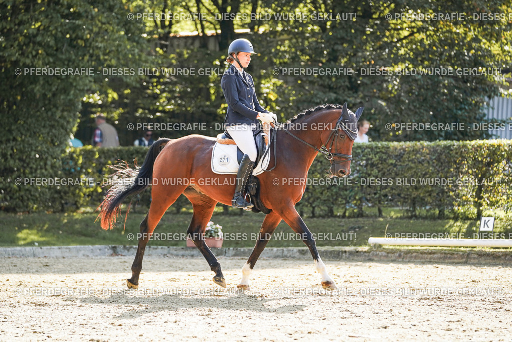 DSC06778 | Pferdegrafie