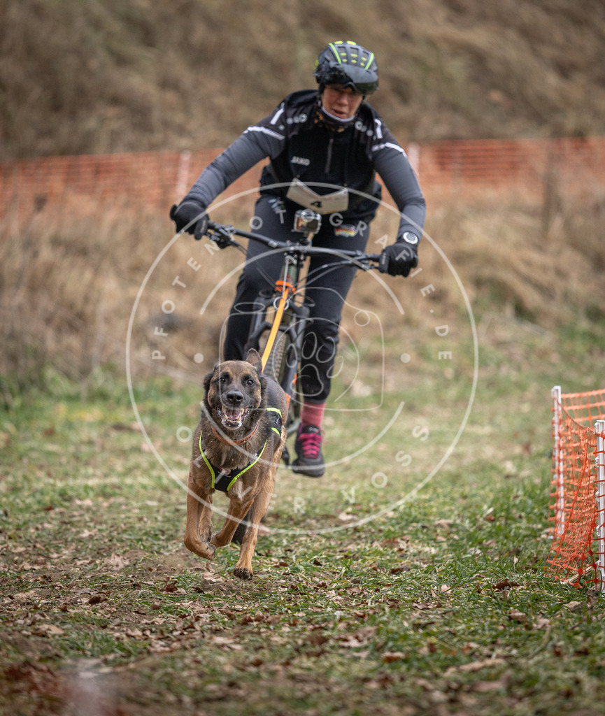 Pfotenfotografie_DV3A6250 | Hundefotografie, Tierfotograf, Pfotenfotografie, Fotoshooting Hund, Hunde Portrait, Hundesport, Hundeportraits, Heideshooting, Hunde, Sportfotograf, Hundefotograf, Turnierhundsport, THS,  - Realisiert mit Pictrs.com