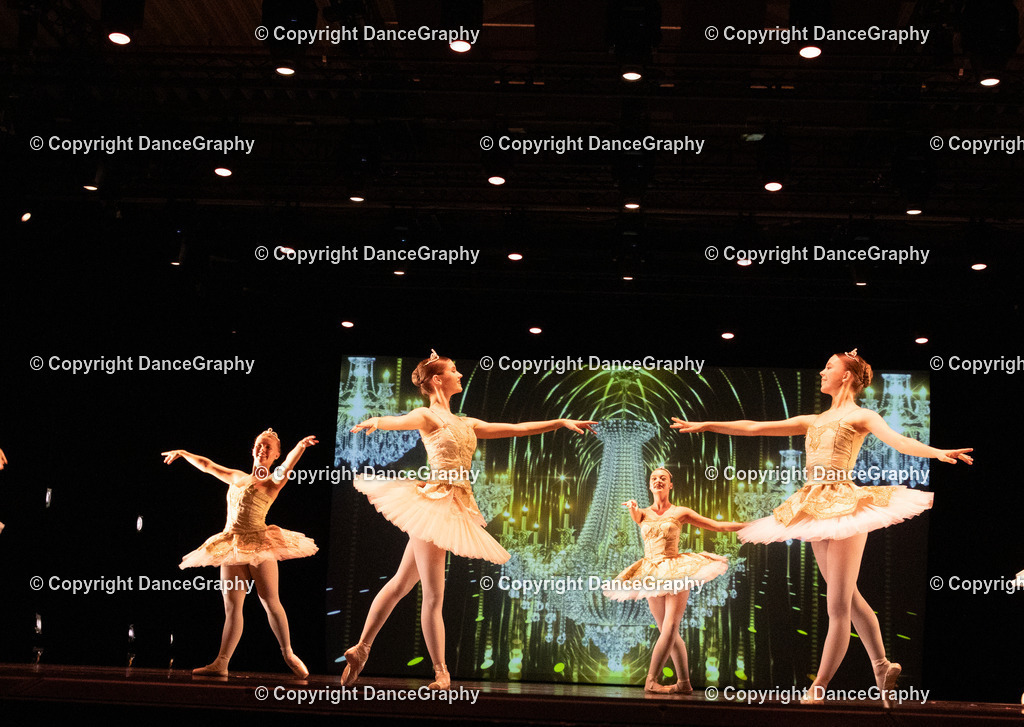 GPHY6536 | DanceGraphy - Realisiert mit Pictrs.com