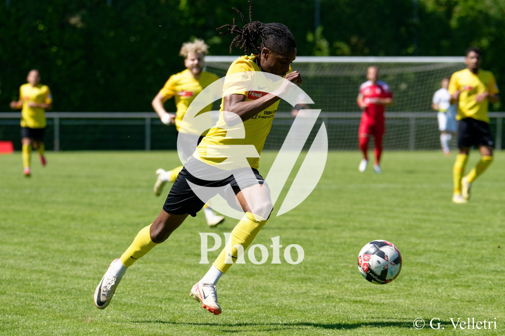 DSC_7328 | Velletri Photo