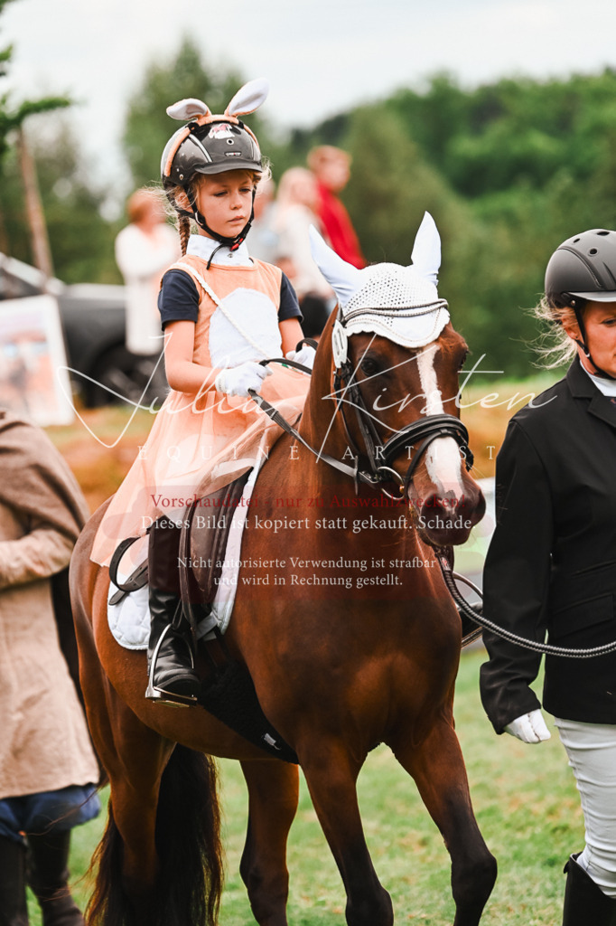 DSC_7396 | Pferde- und Turnierfotografie in Westsachsen. Pferdeportraits, Auftragszeichnungen und intuitive Kunst.