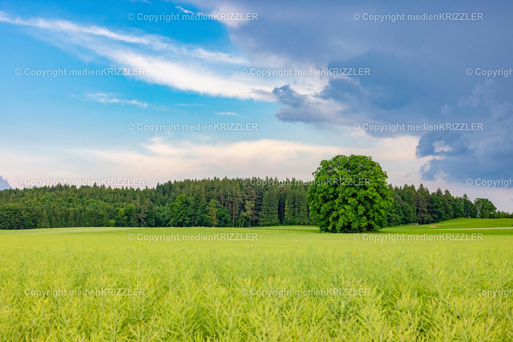 _J3A1239 | medienkrizzler - Realisiert mit Pictrs.com