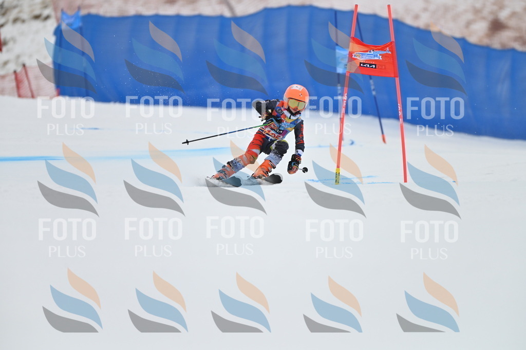 BGV_9302 | holidayphoto