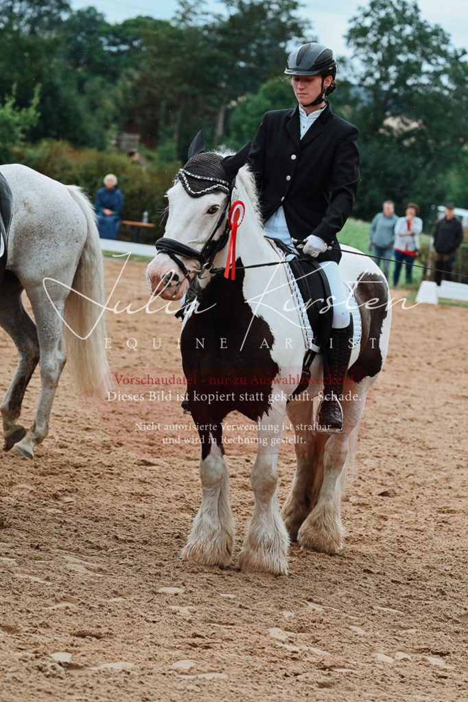 DSC_7277 | Pferde- und Turnierfotografie in Westsachsen. Pferdeportraits, Auftragszeichnungen und intuitive Kunst.