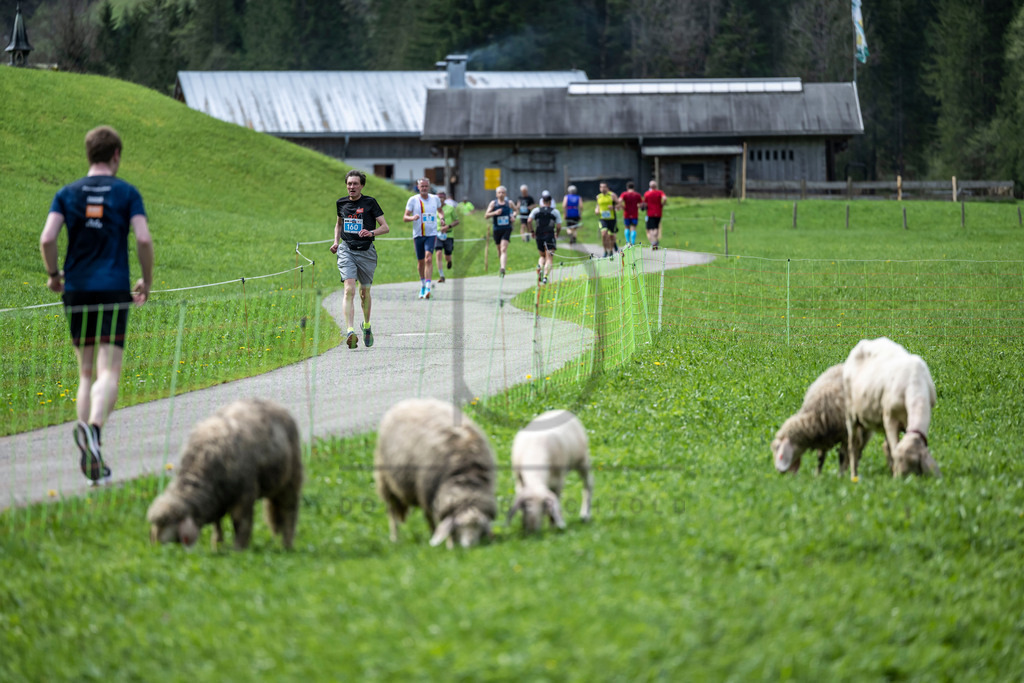 Oberstdorfer Gebirgstälerhalbmarathon | Oberstdorfer Gebirgstälerhalbmarathon am 07.05.2023 in Oberstdorf. 



(Foto: Dominik Berchtold)

B-IS SPO