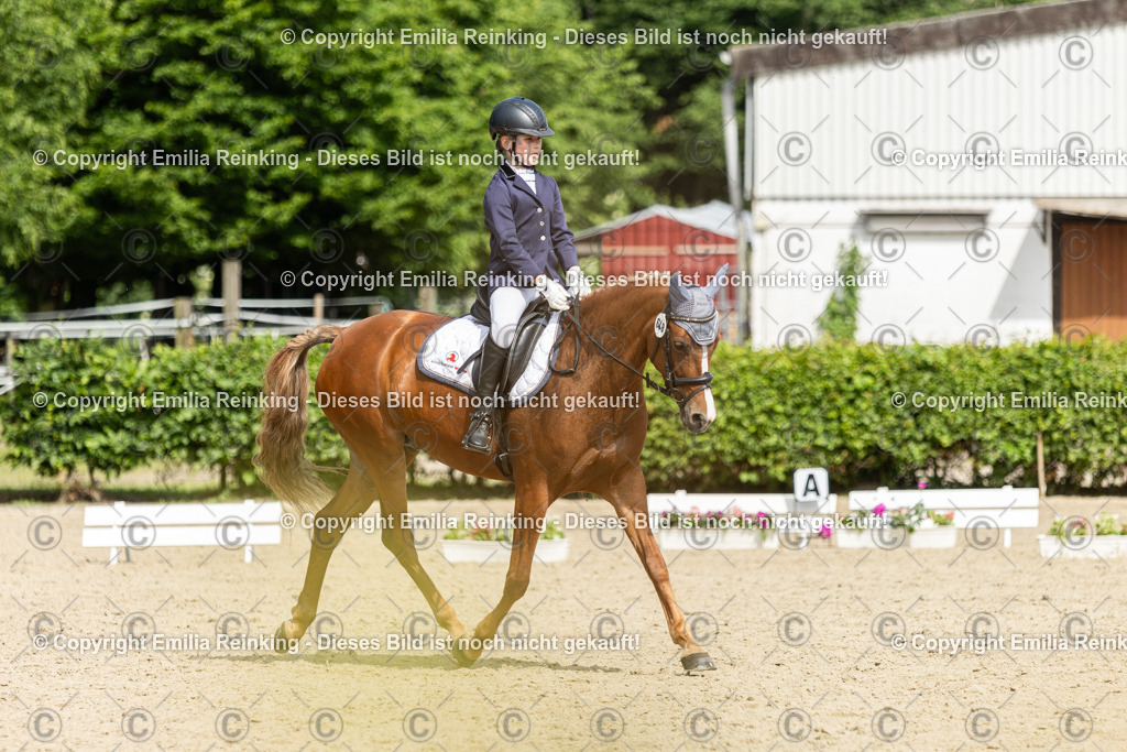 CL5A1260 | Emilia Reinking Fotografie - Realisiert mit Pictrs.com