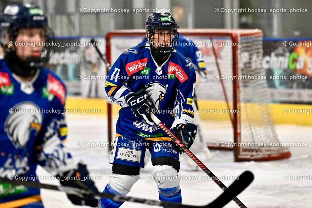 LADY HAWKS vs. WILDCATS PATERNION | #11 Zechner Annika LADY HAWKS, LADY HAWKS vs. WILDCATS PATERNION, LADY HAWKS vs. WILDCATS PATERNION am 12.03.2025 in Steindorf (Ossiachersee Halle), Austria, (Photo by Bernd Stefan)