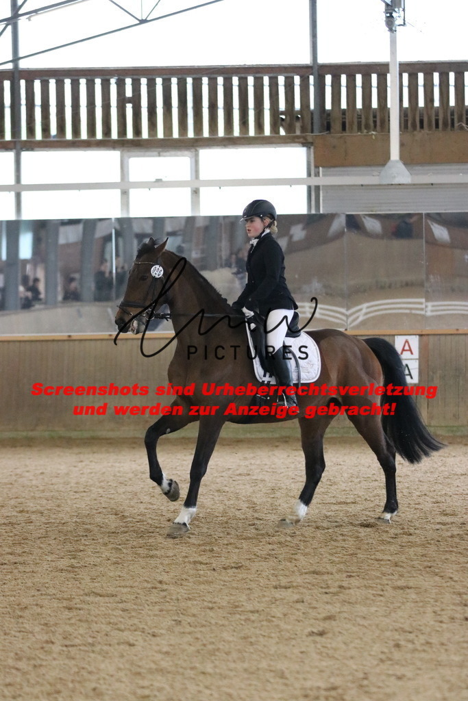 IMG_6828 | lmwpictures - Realisiert mit Pictrs.com