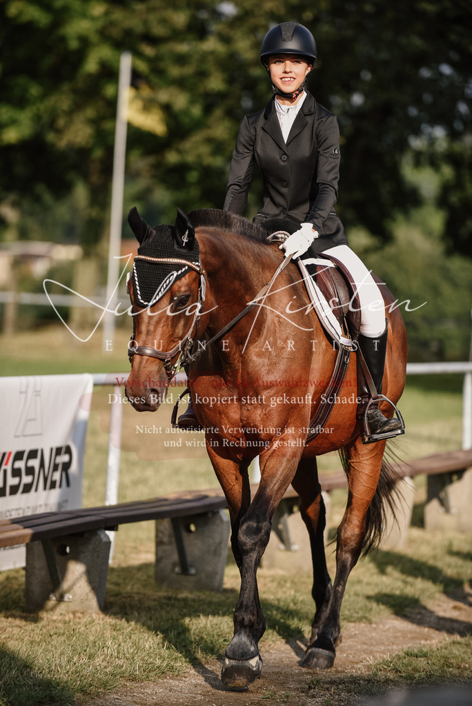 DSC_3510 | Pferde- und Turnierfotografie in Westsachsen. Pferdeportraits, Auftragszeichnungen und intuitive Kunst.