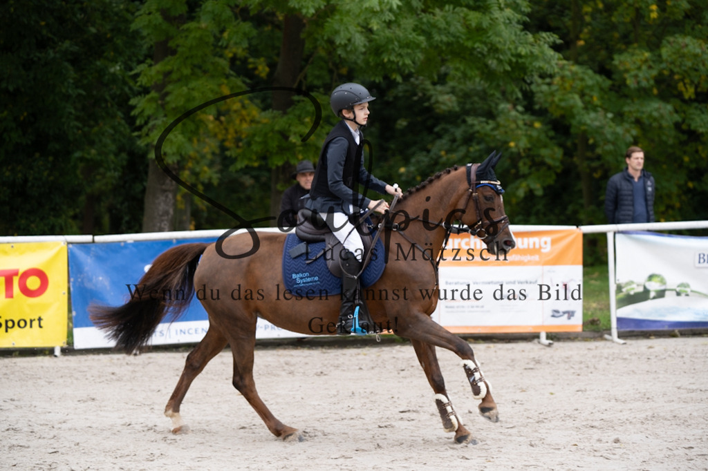 A7V07783 | Pferdefotograf