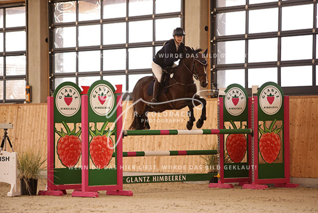 1J2A2547Lotte Zopff_ Namika 6_ Kn394_ Hohen Wieschendorf_ Glantz | Foto- und Videografie für alles rund ums Pferd. Hochwertige Bilder und Videos vom Spring- und Dressurreiten, Voltigieren & mehr. Jetzt aktuelle Veranstaltungen und Preise im Shop ansehen. - Realisiert mit Pictrs.com