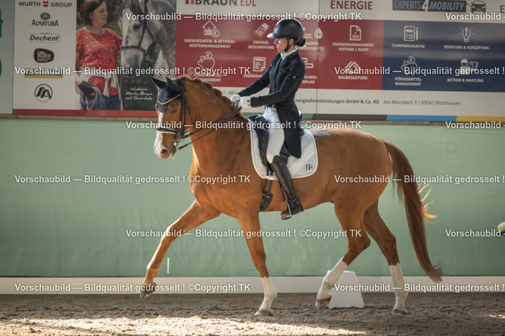 _D5A0979 | Emotionale Pferde- & People-Fotografie rund um Heidelberg, Leimen & Umgebung. Natürliche Fotos von Pferd, Mensch & Familie. Jetzt Termin sichern!