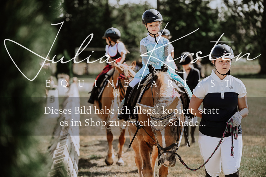 DSC_9006 | Pferde- und Turnierfotografie in Westsachsen. Pferdeportraits, Auftragszeichnungen und intuitive Kunst.