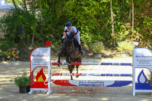 DKP43316 | Turniersportfotografie; Pferdefotografie; Dressurfotografie