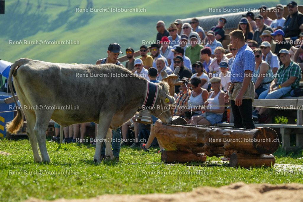 RB_08414 | René Burch leidenschaftlicher Fotograf aus Kerns in Obwalden.  Hier finden sie Sport, Landschaft und Natur Fotografie.
 - Realisiert mit Pictrs.com