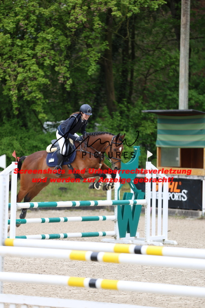 A40A0987 | lmwpictures - Realisiert mit Pictrs.com