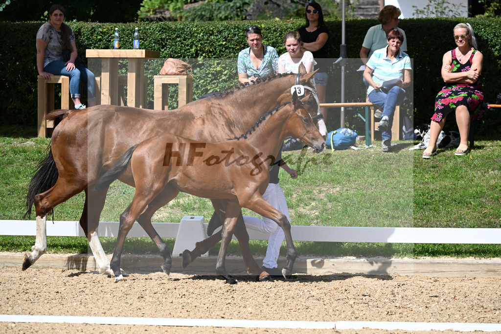 Kat-Nr. 13 SF Zenetti x Don Diamond_Schneider_27230306 | hf-fotografie - Realisiert mit Pictrs.com