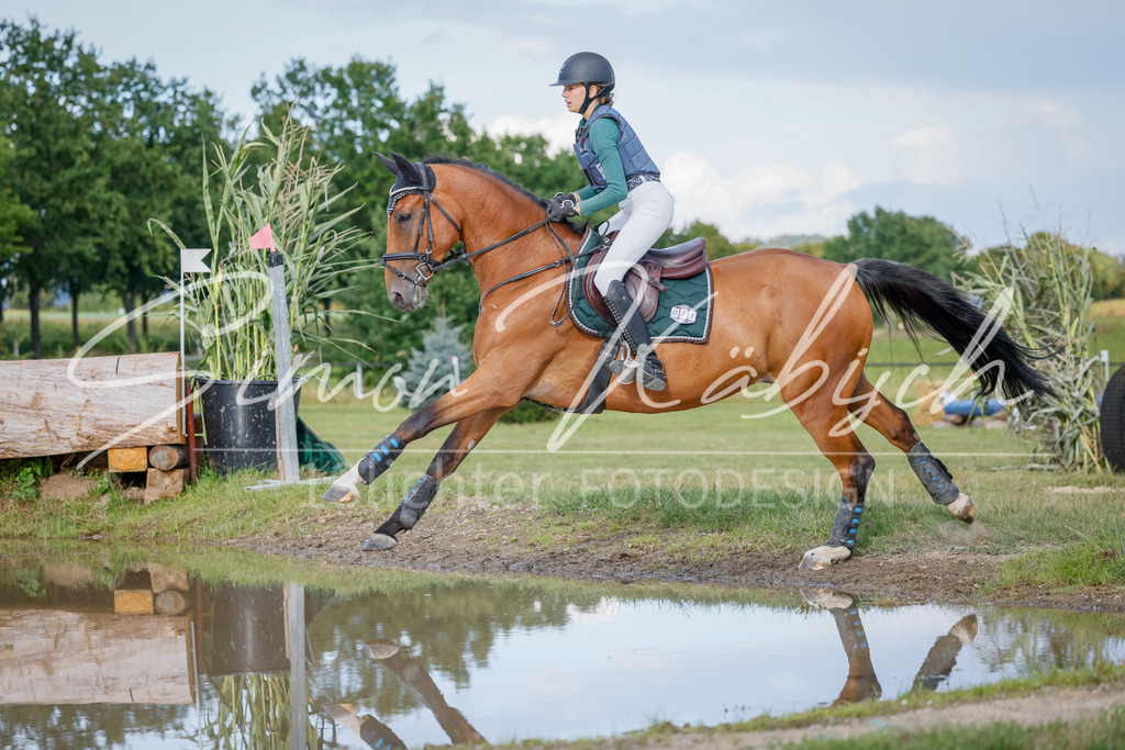 20250905-_3LI2281 | Tierfotografie Pferde, Hunde, Katzen, Haustiere.
Turnierfotografie Reitturniere, Reiten, Springreiten, Dressur in Hanau, dem Main-Kinzig-Kreis und dem Rhein-Main- Gebiet um Frankfurt