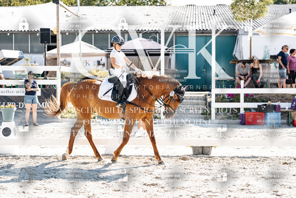 CK903260 | Turnierfotografie Pferdefotografie Trier Rheinland-Pfalz Pferdesport Reitsport Tierfotografie Sportfotografie Pferdevideo Pferdevideografie Equestrianvideography equestrianphotography  - Realisiert mit Pictrs.com