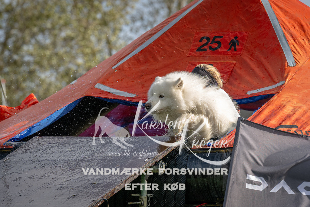 1211-92745 | kk-dogfotos
