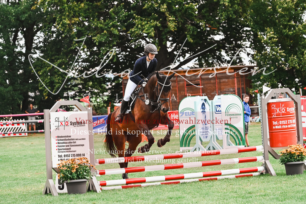 DSC_6003 | Pferde- und Turnierfotografie in Westsachsen. Pferdeportraits, Auftragszeichnungen und intuitive Kunst.