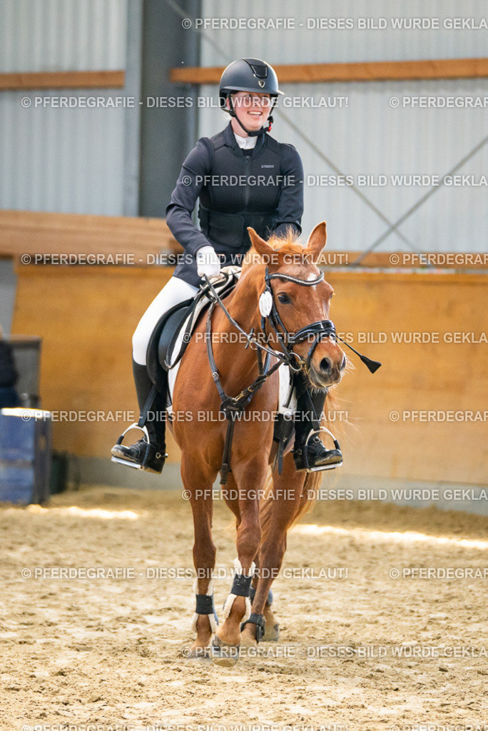 DSC01521 | Pferdegrafie