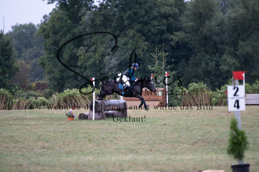 A7V00004 | Pferdefotograf