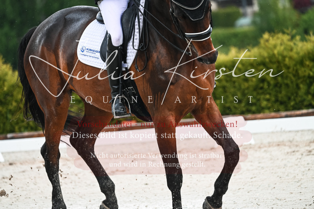 DSC_4218 | Pferde- und Turnierfotografie in Westsachsen. Pferdeportraits, Auftragszeichnungen und intuitive Kunst.