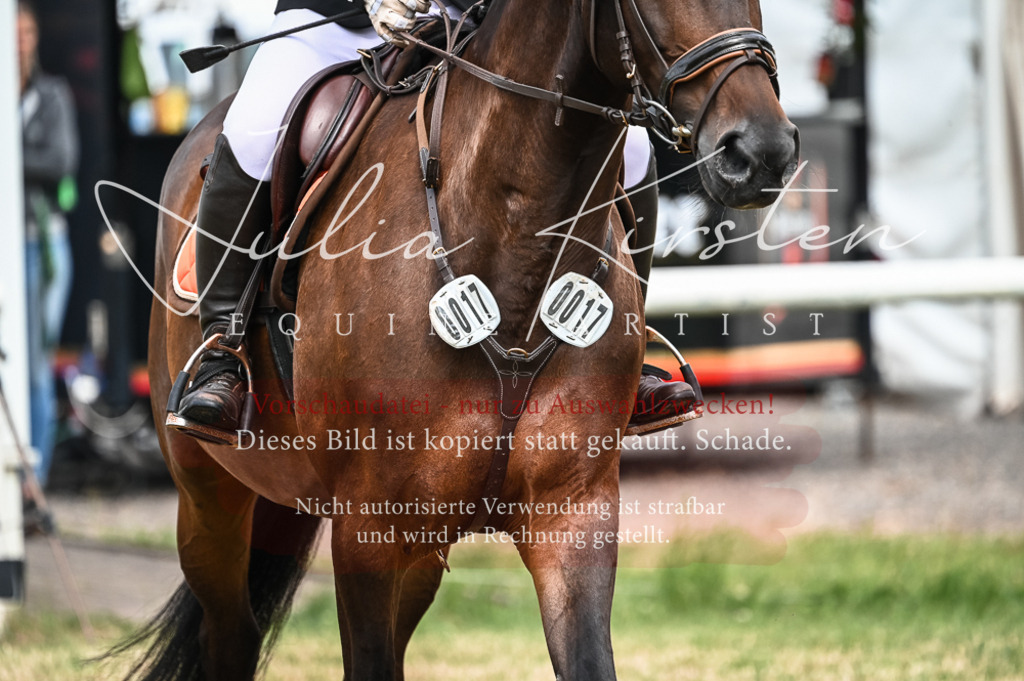 DSC_8275 | Pferde- und Turnierfotografie in Westsachsen. Pferdeportraits, Auftragszeichnungen und intuitive Kunst.