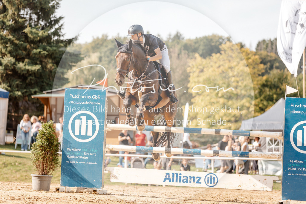 3I6A4988 | Stimmungsvolle Portraits und Reitsportfotografie im Ruhrgebiet und im Münsterland.

Pferdefotografie, Hundefotografie, Tierfotografie, Reportagen, Portraits von Tier und Mensch, Turnierfotografie in Bochum, Recklinghausen, Marl, Haltern am See, Dülmen.. - Realisiert mit Pictrs.com