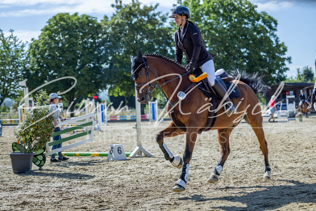 20260704-_3LI7415 | Tierfotografie Pferde, Hunde, Katzen, Haustiere.
Turnierfotografie Reitturniere, Reiten, Springreiten, Dressur in Hanau, dem Main-Kinzig-Kreis und dem Rhein-Main- Gebiet um Frankfurt