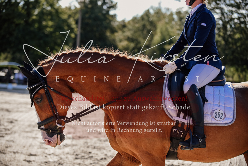DSC_0476 | Pferde- und Turnierfotografie in Westsachsen. Pferdeportraits, Auftragszeichnungen und intuitive Kunst.