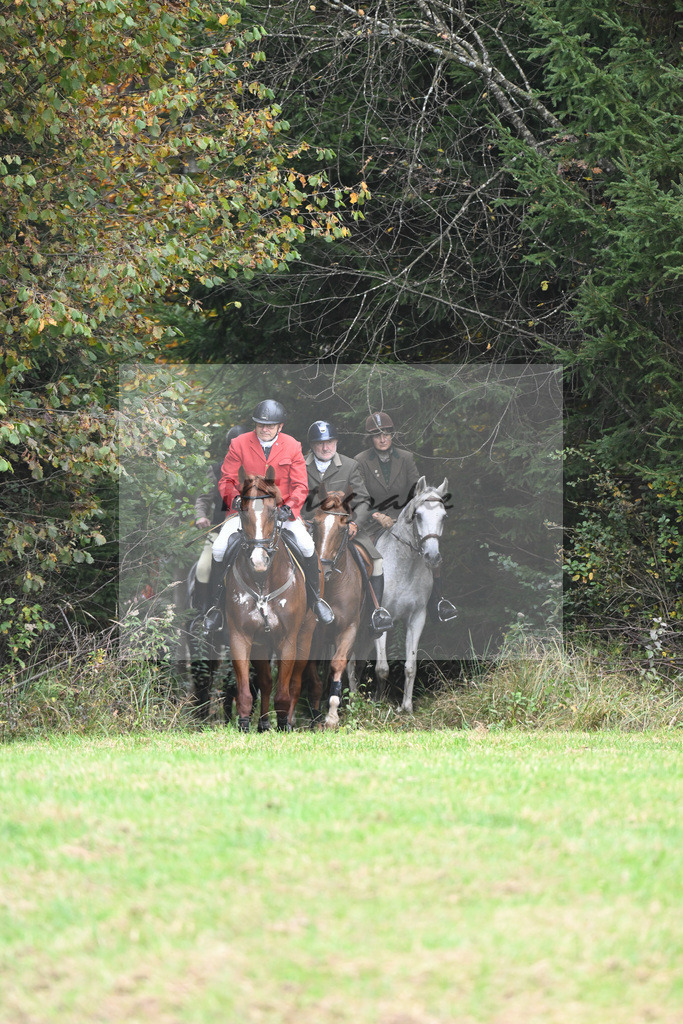 5622235 | hf-fotografie - Realisiert mit Pictrs.com