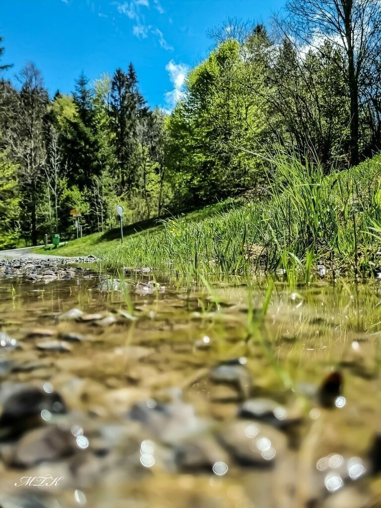 PSX_20210523_134115 | mtkfoto_ - Realisiert mit Pictrs.com