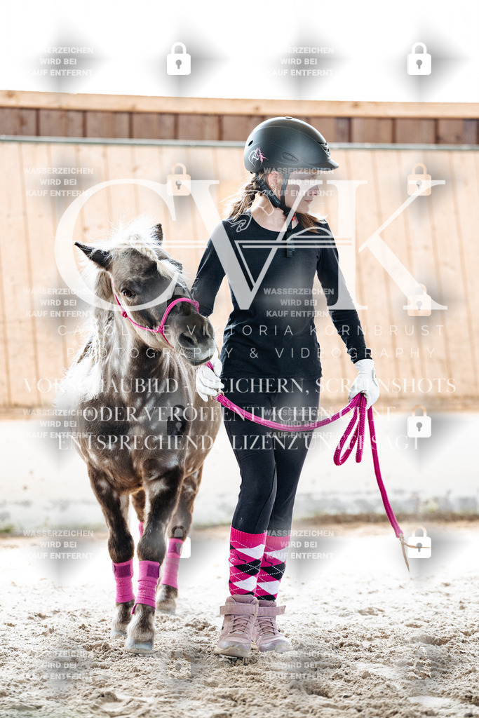 CK907038 | Turnierfotografie Pferdefotografie Trier Rheinland-Pfalz Pferdesport Reitsport Tierfotografie Sportfotografie Pferdevideo Pferdevideografie Equestrianvideography equestrianphotography  - Realisiert mit Pictrs.com