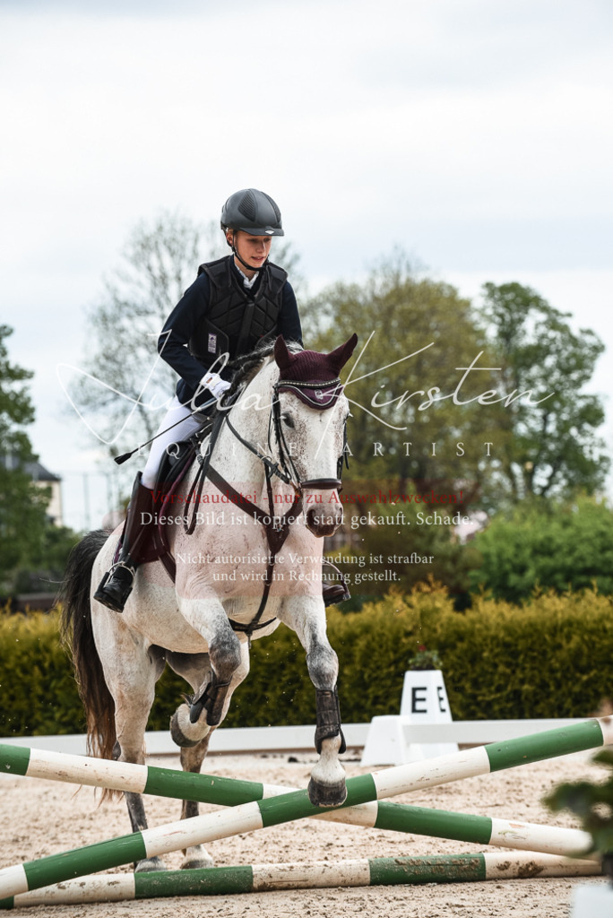 20230518_JK-Röhrsdorf-10-558 | Pferde- und Turnierfotografie in Westsachsen. Pferdeportraits, Auftragszeichnungen und intuitive Kunst.