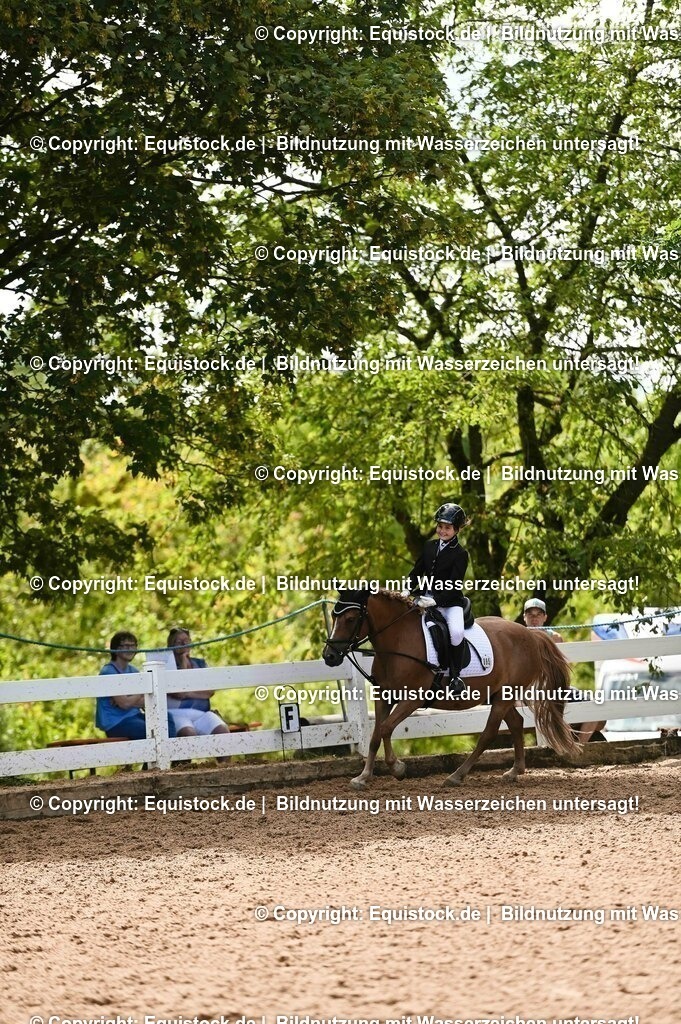 20230716_10-3_Reiter-WB Schritt - Trab - Galopp_0164 | equistock