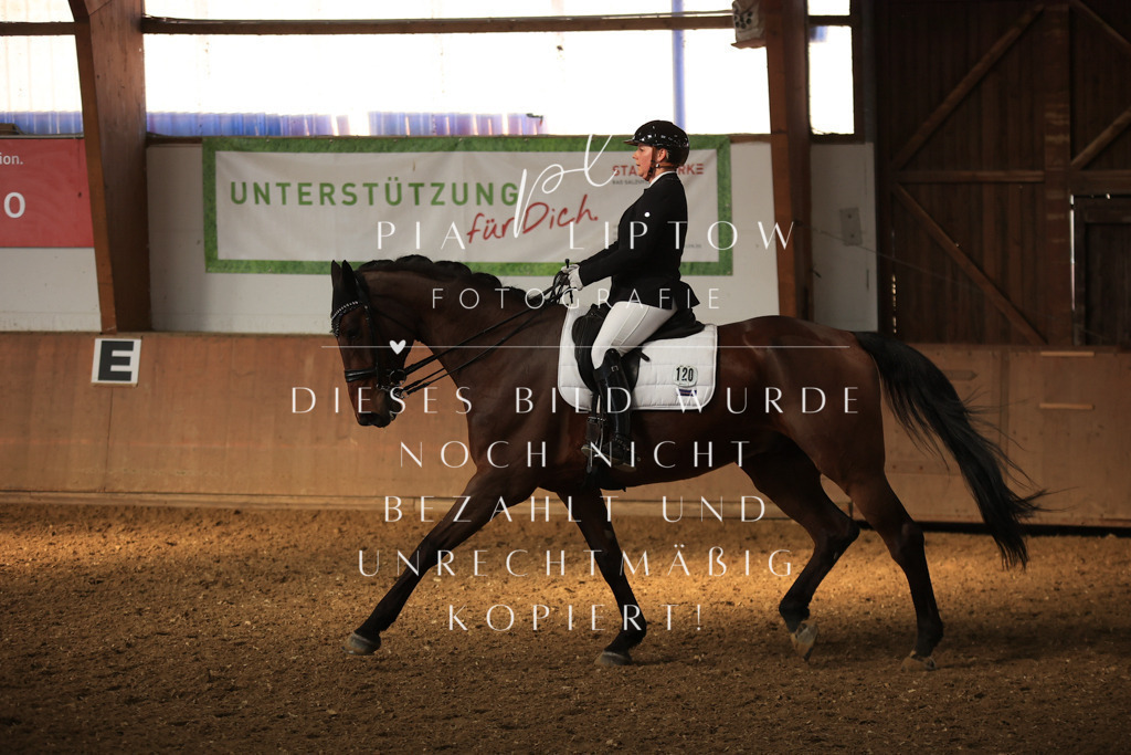 IMGT1371 | pl-fotografie