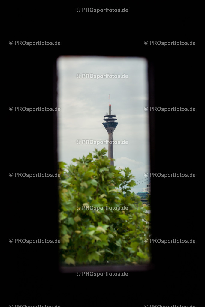 Brückenlauf, 17.05.2026 | am 17.05.2026 bei SPARDA-BANK Brückenlauf in Düsseldorf