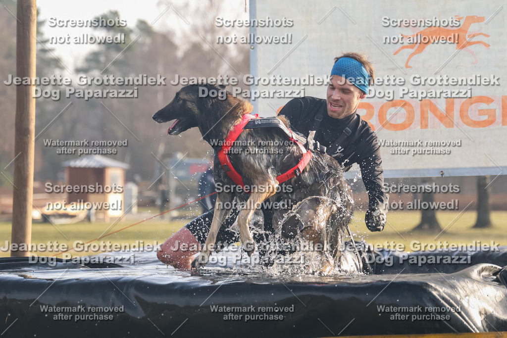Dog Paparazzi - SD North 0326 900930-114 | Dog Paparazzi Jeanette Grottendiek Fotografie & Videografie - Realisiert mit Pictrs.com