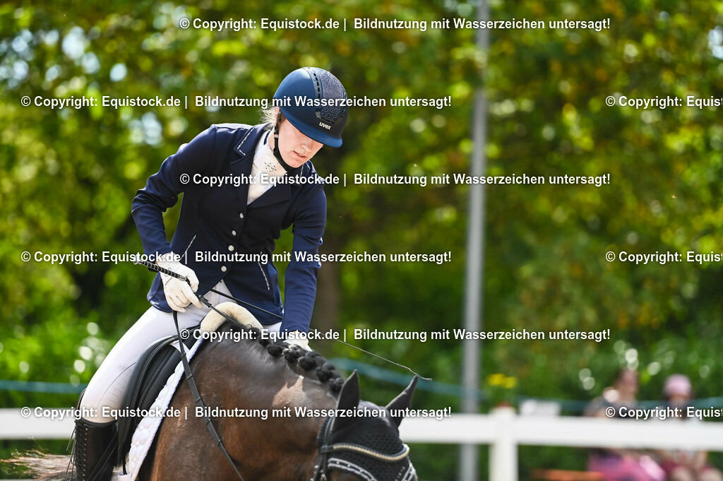 20230715_07_Dressurpferdeprfg. Kl.L_0016 | equistock