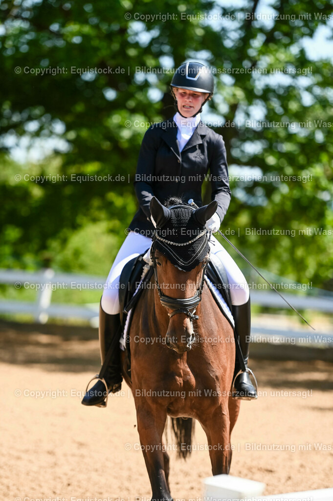 20230715_02_Dressurreiterprüfung Kl.L_0102 | equistock