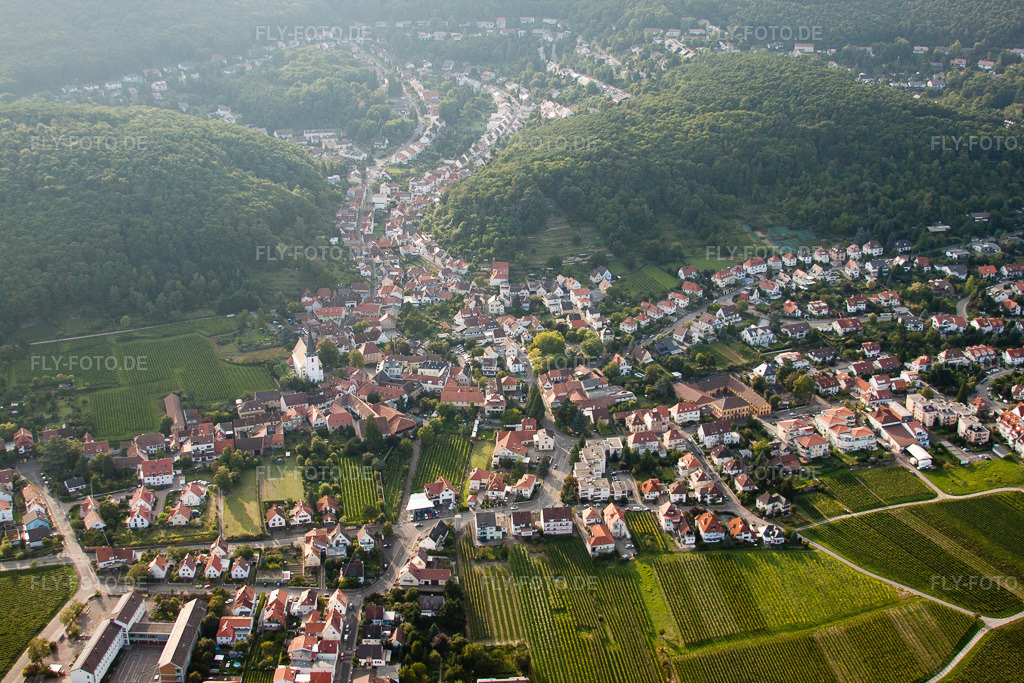 Luftbild: Mittel-Hambach im Ortsteil Hambach an der Weinstraße in Neustadt im Bundesland Rheinland-Pfalz in Deutschland. Foto: IMG_33040.jpg vom 04.09.2010 durch Werner Riehm/FLY-FOTO.de