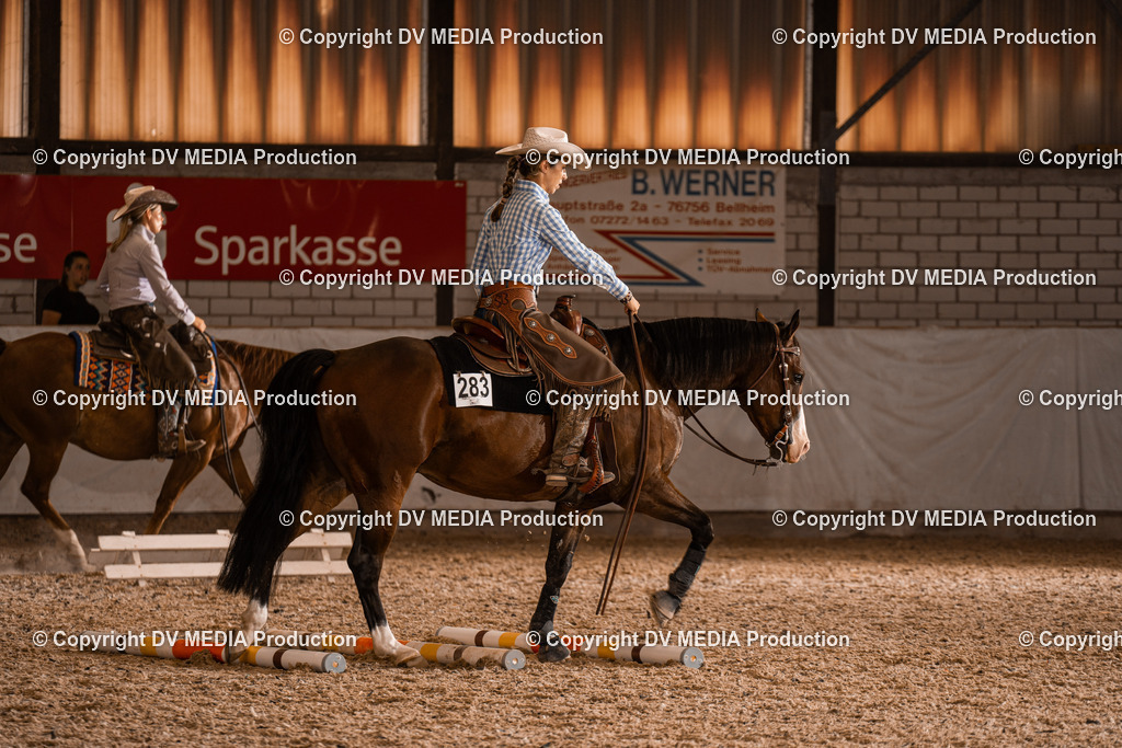 ZH300484 | dv-media-shop - Realisiert mit Pictrs.com