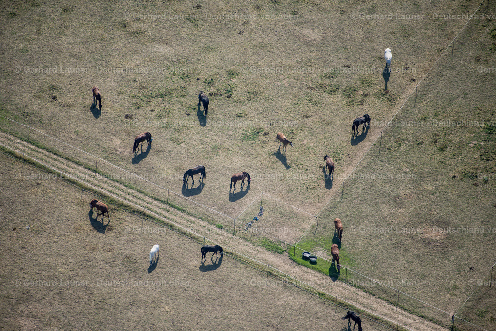 4041184 | LEIPZIG 15.09.2020 Flächen- Strukturen einer Wiesen- Weide mit Pferde- Herde an der Heiterblickstraße Ortsteil Abtnaundorf in Leipzig im Bundesland Sachsen, Deutschland. Weiterführende Informationen bei: Reit- und Fahrverein „Herodot“ Leipzig e.V.. // Surface structures of a meadow pasture with herd of horses on the Heiterblickstrasse district Abtnaundorf in Leipzig in the state Saxony, Germany. Further information at: Reit- und Fahrverein a??Herodota?? Leipzig e.V.. Foto: Gerhard Launer
